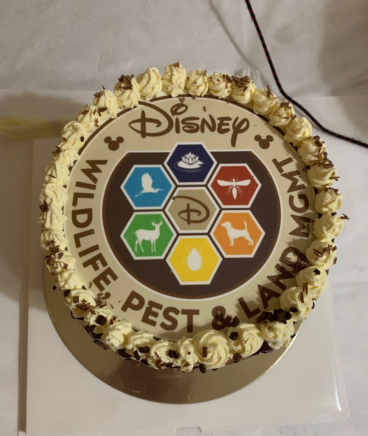 Round chocolate cake with a printed corporate logo and whipped cream border